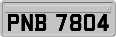 PNB7804