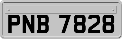 PNB7828