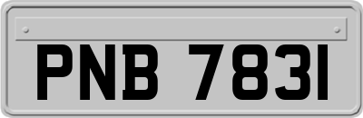 PNB7831