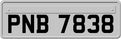 PNB7838