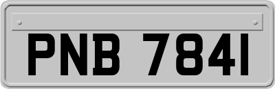 PNB7841