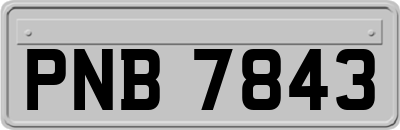 PNB7843