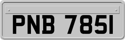 PNB7851