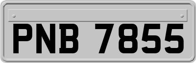 PNB7855