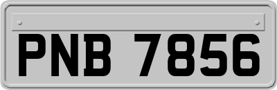 PNB7856