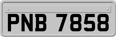PNB7858