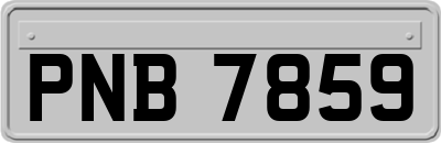 PNB7859