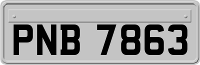 PNB7863