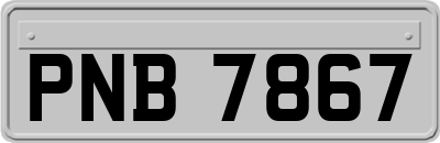 PNB7867