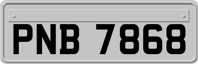 PNB7868