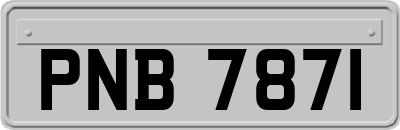 PNB7871