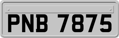 PNB7875