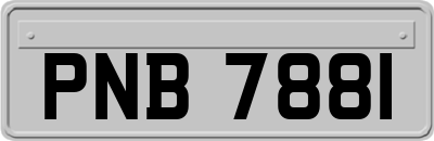 PNB7881