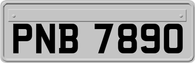 PNB7890