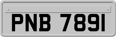 PNB7891