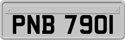 PNB7901