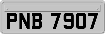 PNB7907