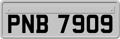 PNB7909