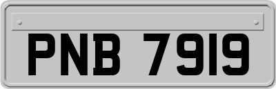 PNB7919