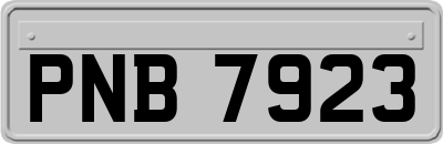 PNB7923