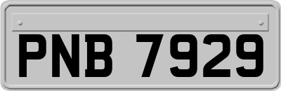 PNB7929