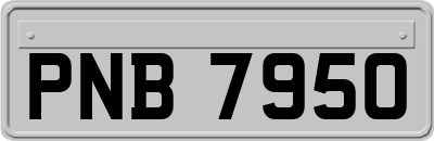PNB7950