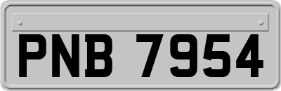 PNB7954