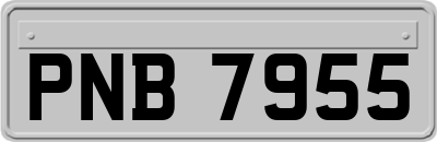 PNB7955