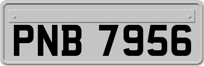 PNB7956