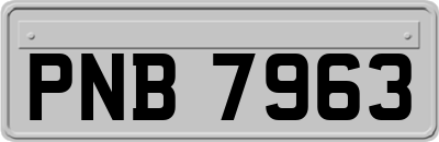 PNB7963