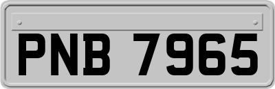 PNB7965