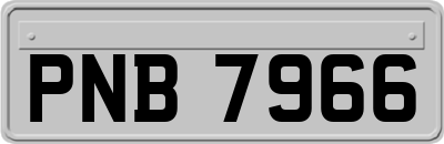 PNB7966