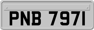 PNB7971