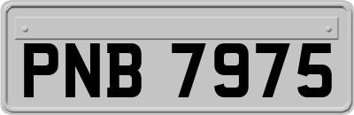 PNB7975