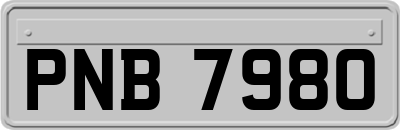 PNB7980