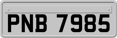 PNB7985