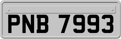PNB7993