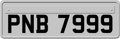 PNB7999