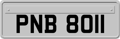 PNB8011