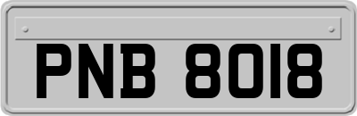 PNB8018
