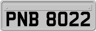 PNB8022