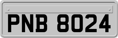 PNB8024