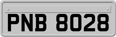 PNB8028