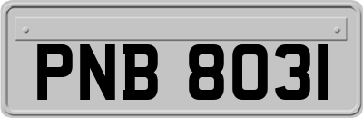PNB8031