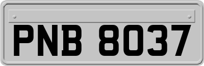 PNB8037
