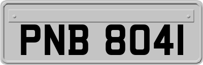PNB8041