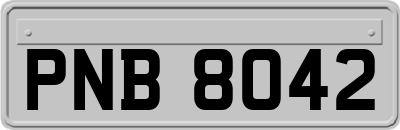 PNB8042
