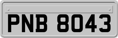 PNB8043
