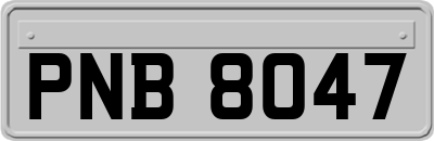 PNB8047