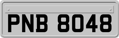 PNB8048